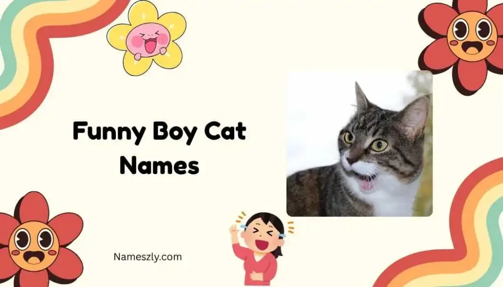 Pop Culture Inspired Funny Boy Cat Names