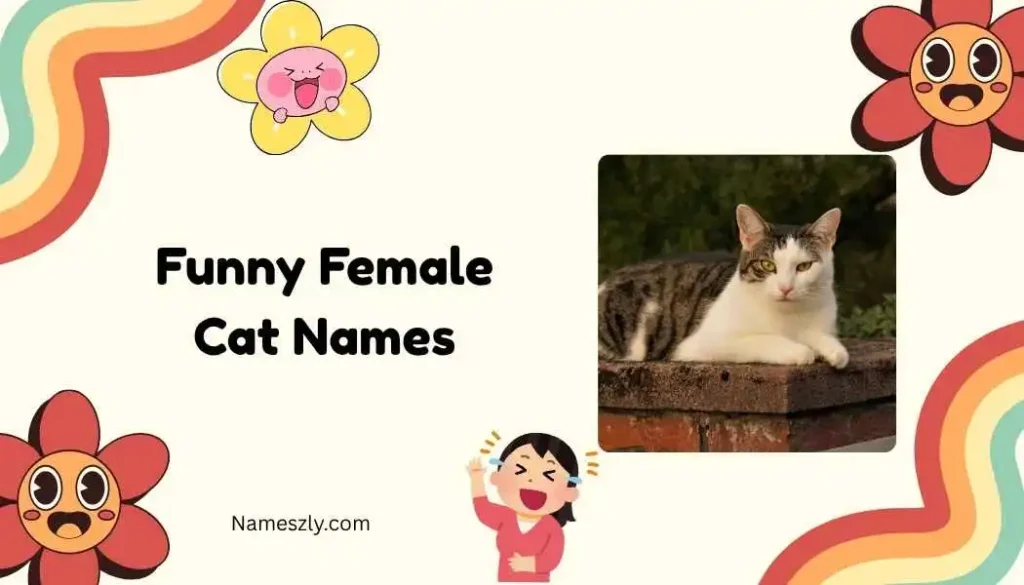 Pop Culture-Inspired Funny Female Cat Names