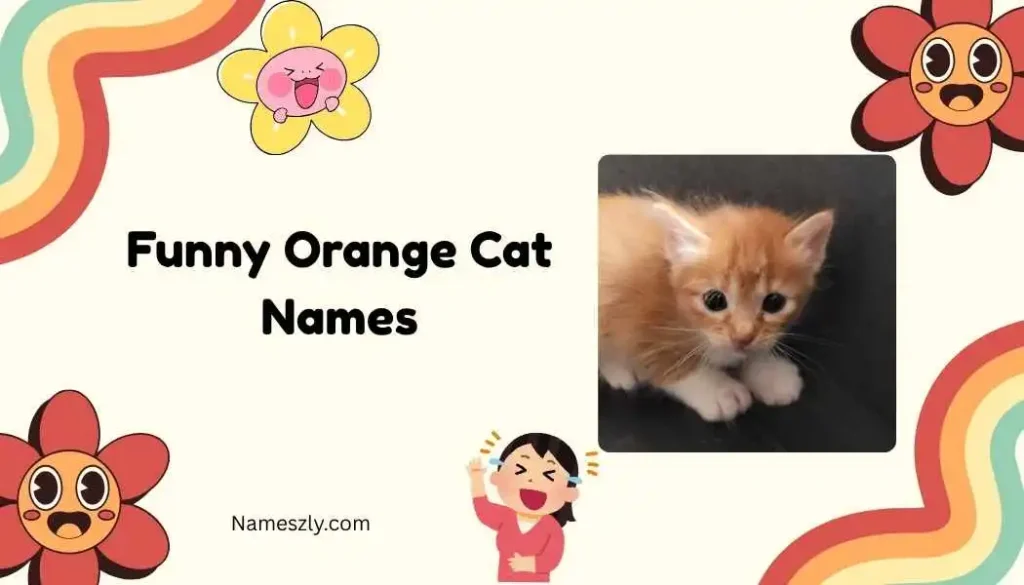 Pop Culture Inspired Funny Orange Cat Names