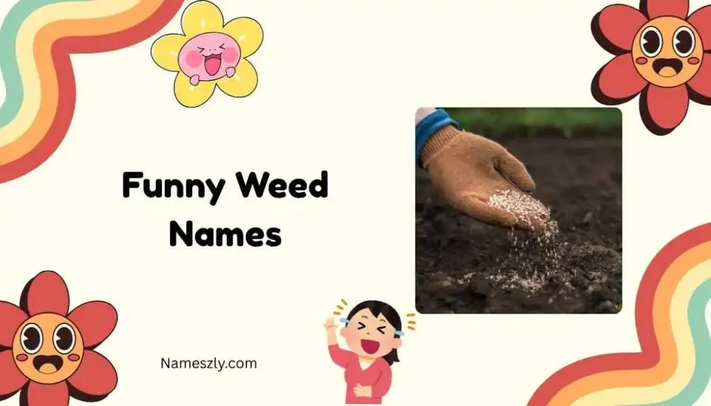 Pop Culture Inspired Funny Weed Names
