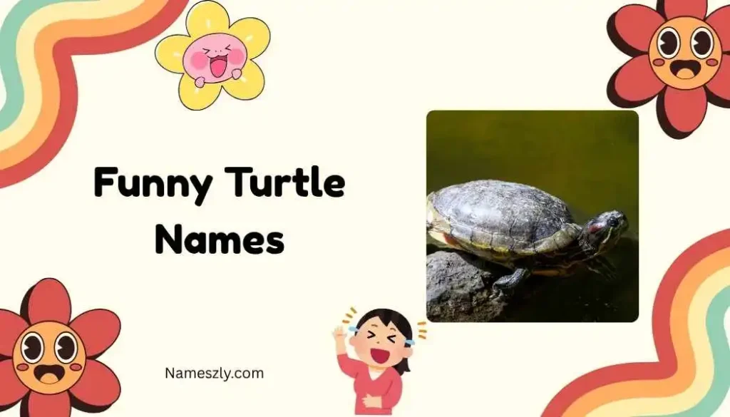 Pop Culture Inspired Turtle Names