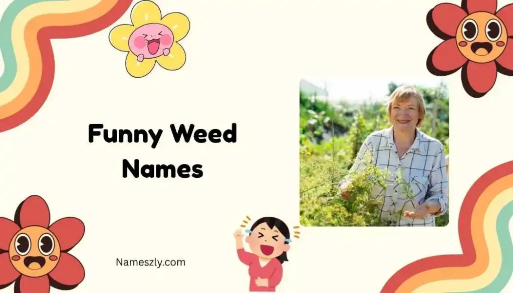 Punny Weed Names