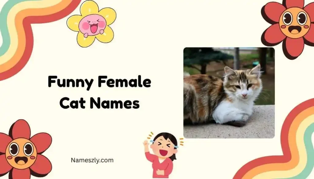 quirky-personality-inspired-funny-female-cat-names