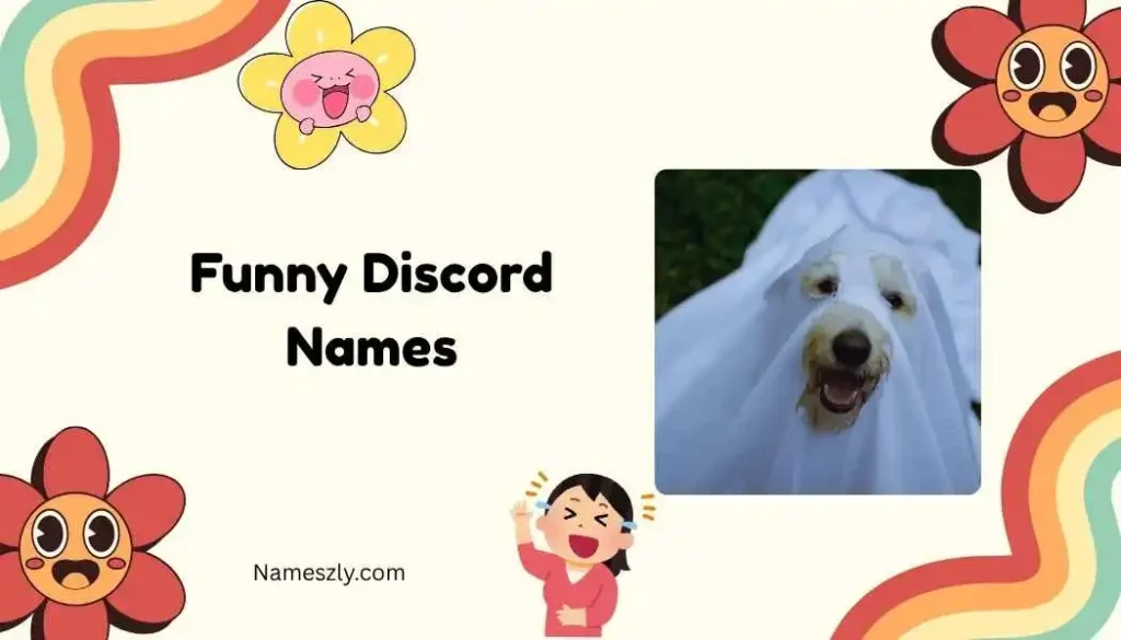 Sarcastic Funny Discord Names