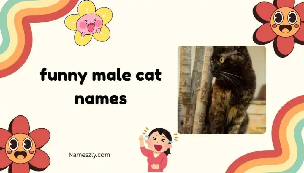 Science & Tech Inspired Funny Male Cat Names