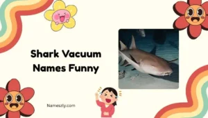 Shark Vacuum Names Funny