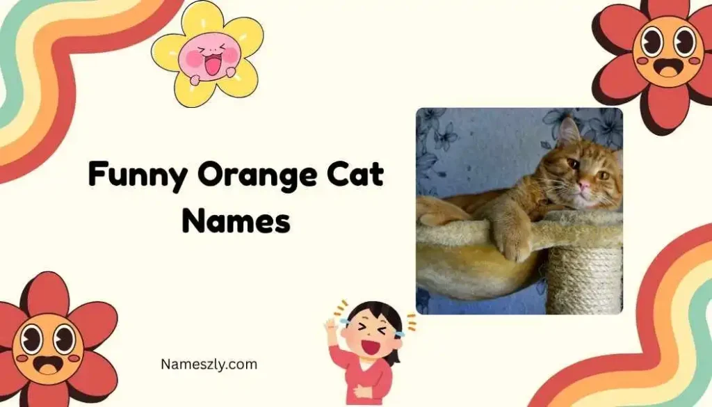 Silly and Goofy Funny Orange Cat Names