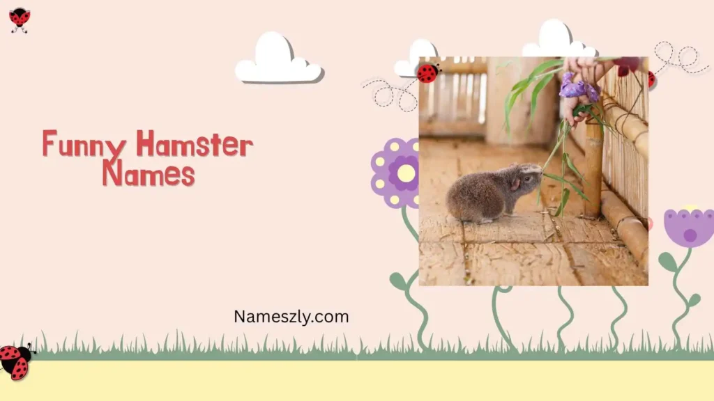 Unique hamster names