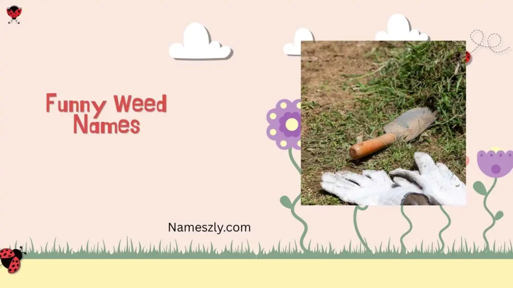 Weed Names List A–Z