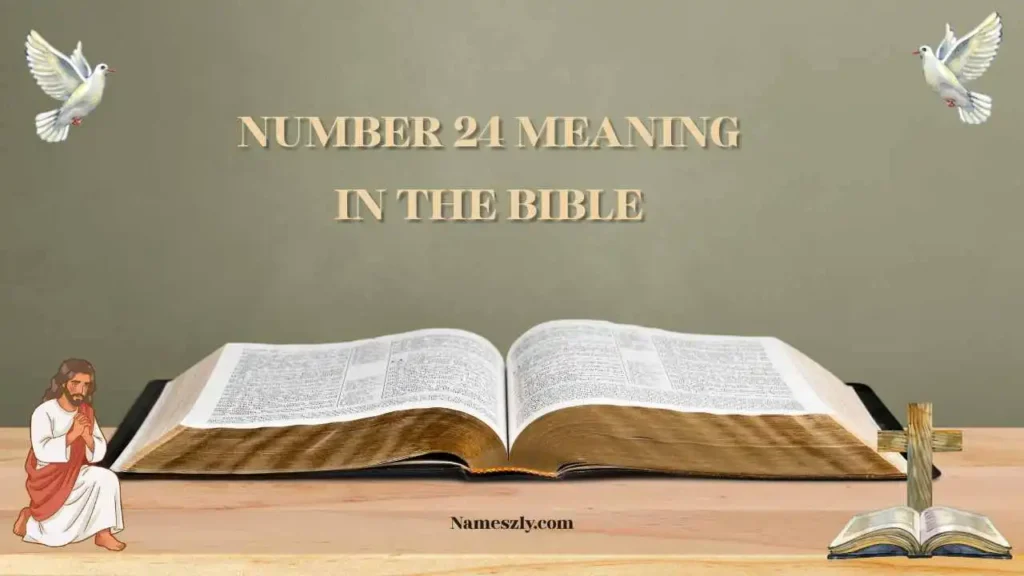 Historical and Biblical Context of Number 24