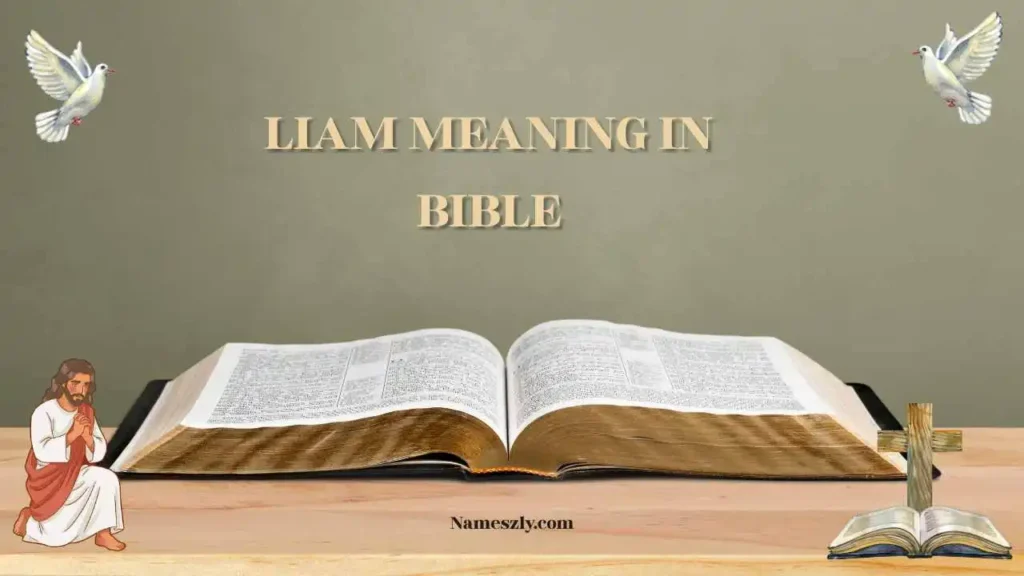 Liam Meaning in Bible Explanation