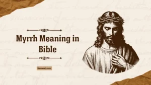 Myrrh Meaning in Bible