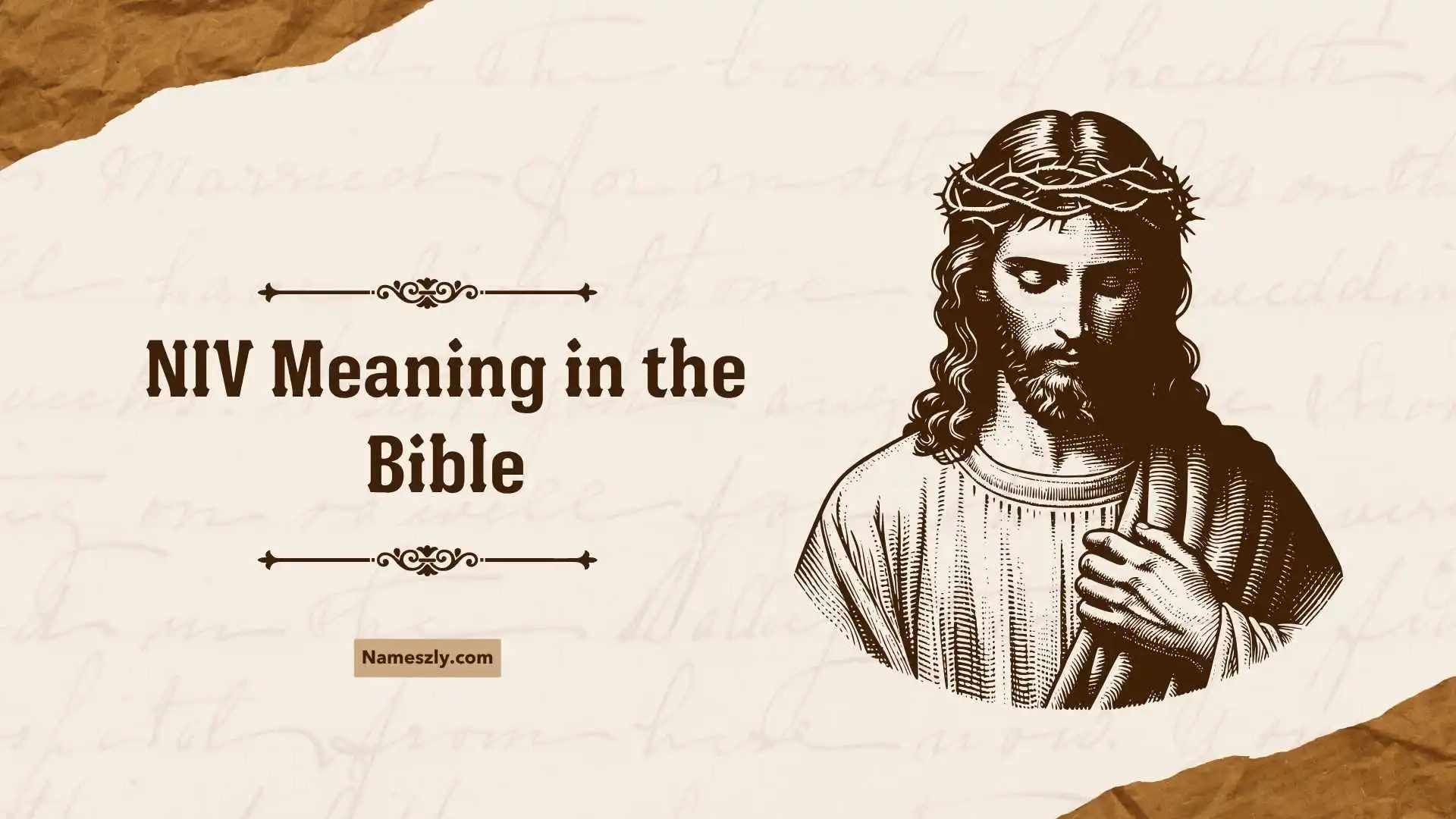 NIV Meaning in the Bible