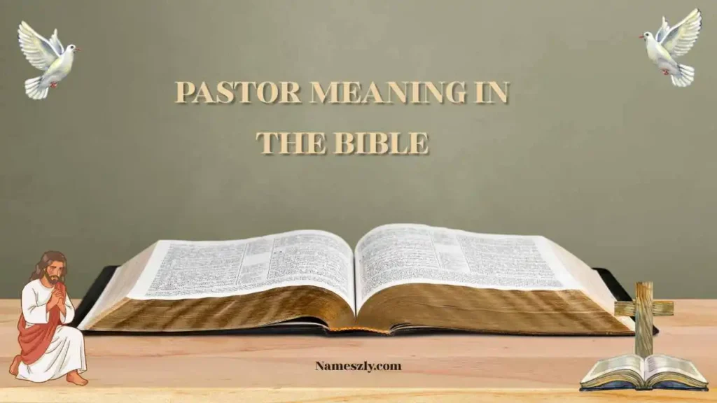 Pastor Meaning in the Bible Explanation
