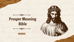 Prosper Meaning Bible