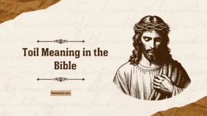 Toil Meaning in the Bible