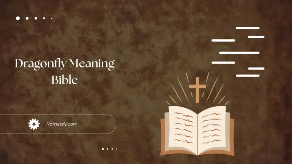 Historical and Cultural Context of Dragonfly Meaning Bible