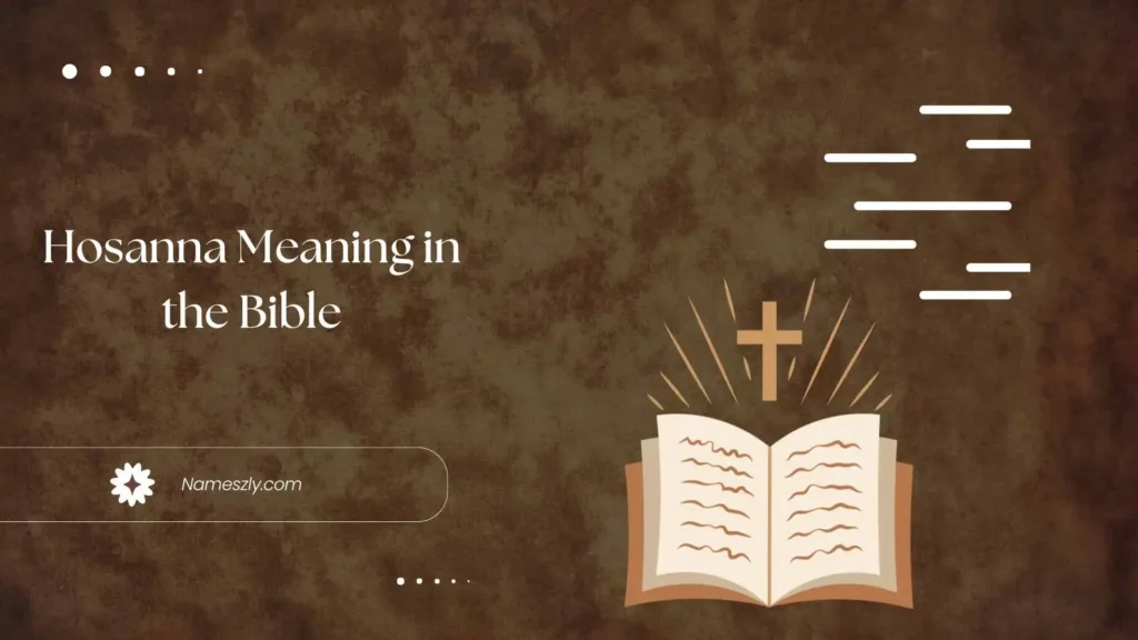 Hosanna Meaning in the Bible: Meaning / Explanation