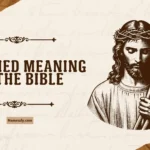 Justified Meaning in the Bible