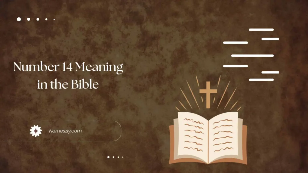 Origin and Etymology of Number 14 Meaning in the Bible