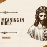 Peter Meaning in Bible