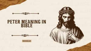 Peter Meaning in Bible