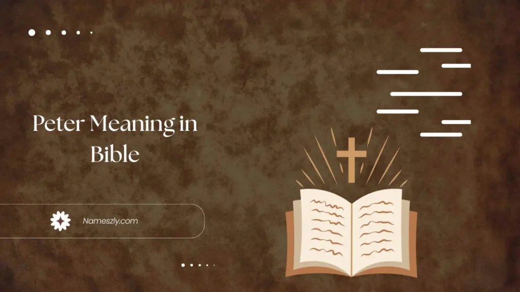 Peter Meaning in Bible Definition and Explanation